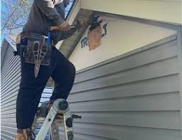 Best Historical Building Siding Restoration  in USA